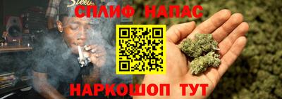 стаф Балахна