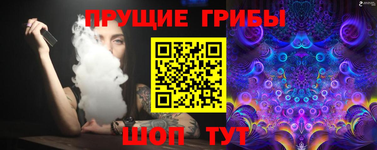 Великий Устюг  Галлюциногенные грибы MAGIC MUSHROOMS  Вход с VPN 