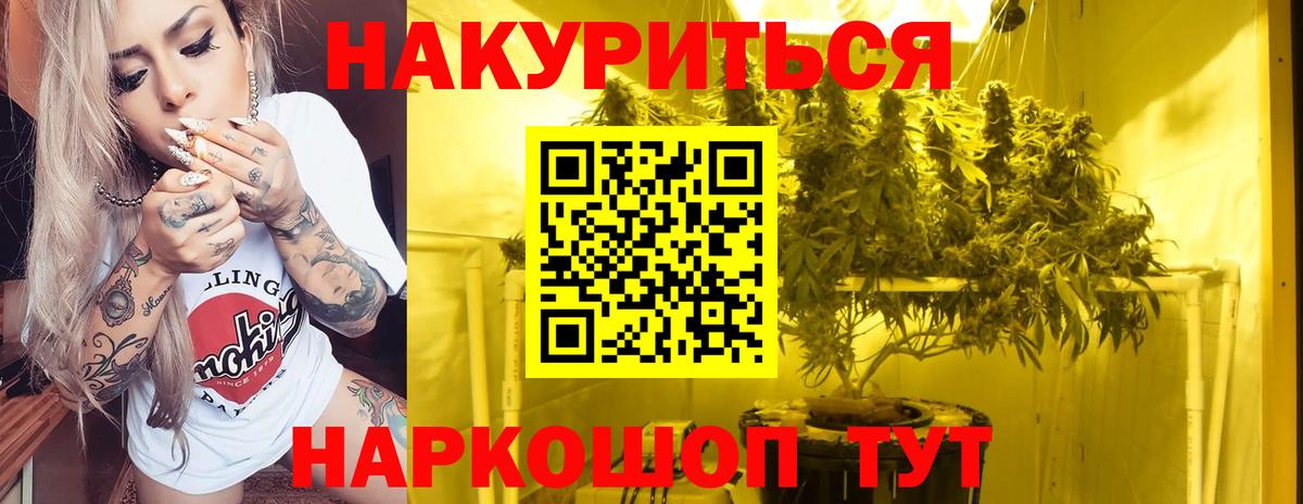 Бошки марихуана Bruce Banner Великий Устюг
